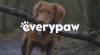 Hub_Tile_Every-Paw_363x200.png