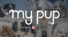 Hub_Tile_Every-Paw_363x200.png