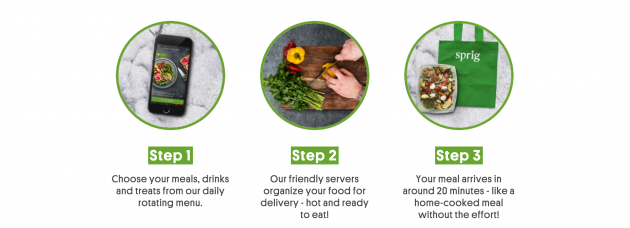 Gestalt product design principles: continuity example Sprig