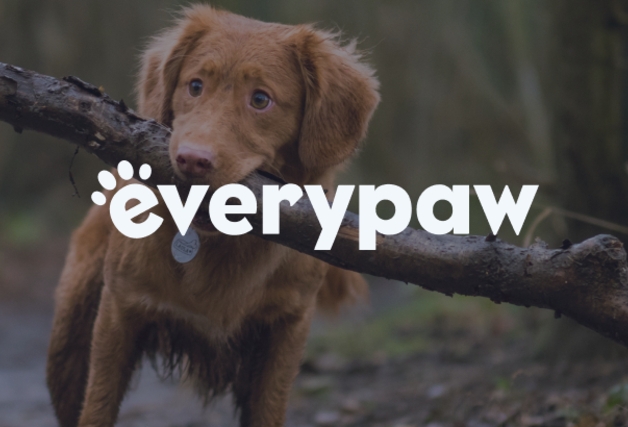INFO-CARD-everypaw-410x205.png
