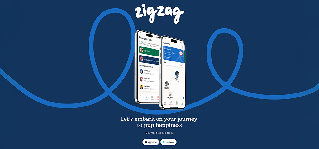STORY-2024-Banner Image-Zigzag-1024x480-3