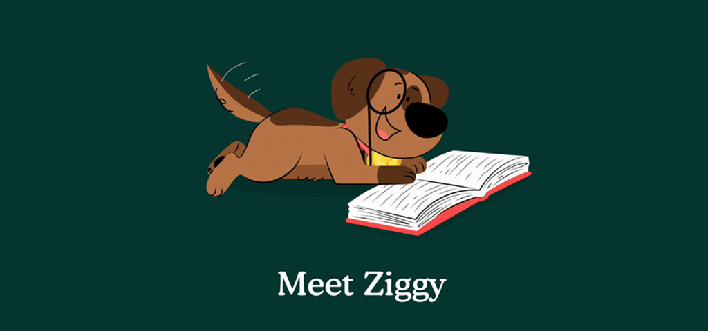 STORY-2024-Banner Image-Zigzag-1024x480-4