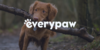 INFO-CARD-everypaw-410x205.png
