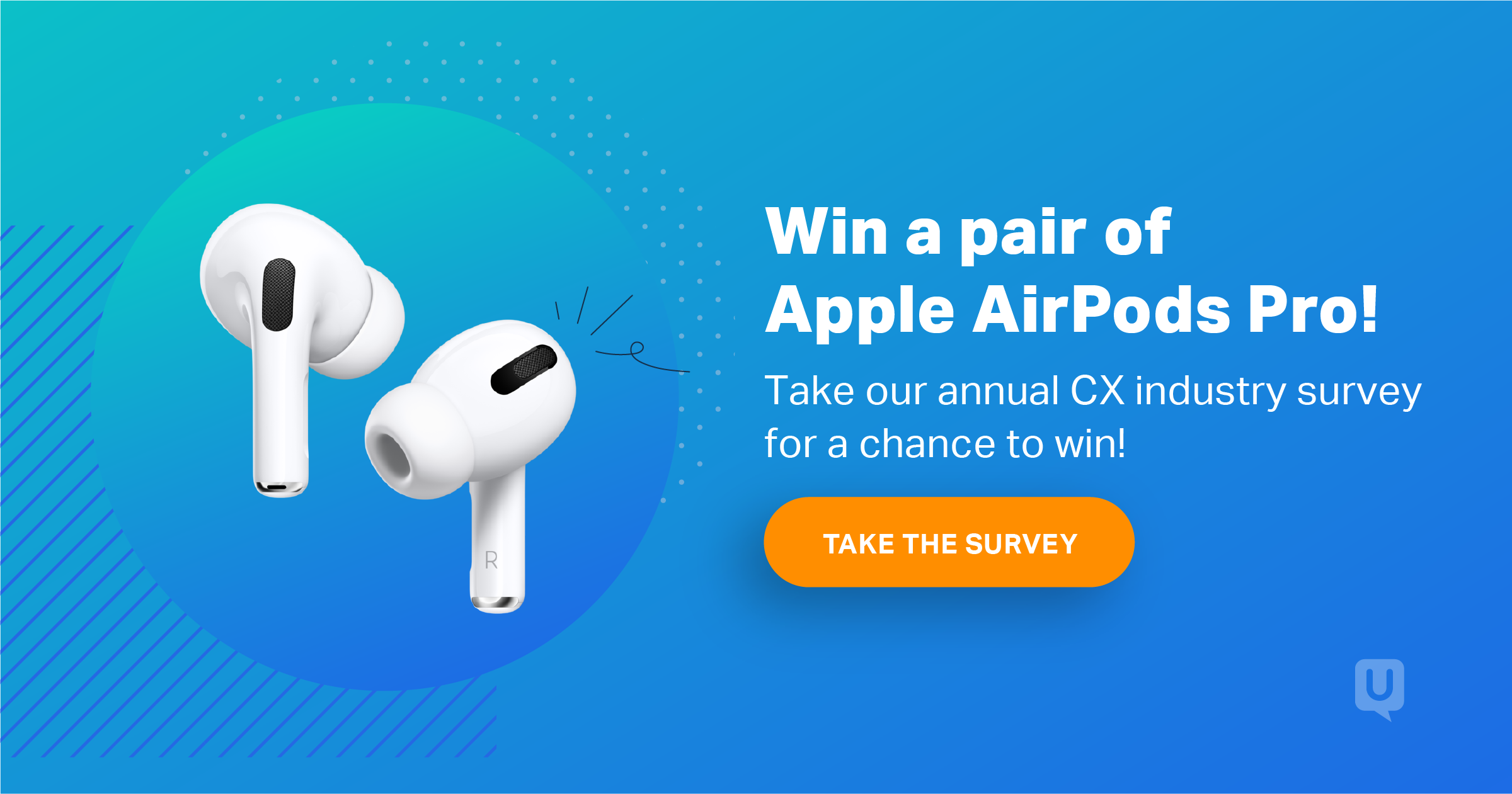 CX Industry Survey